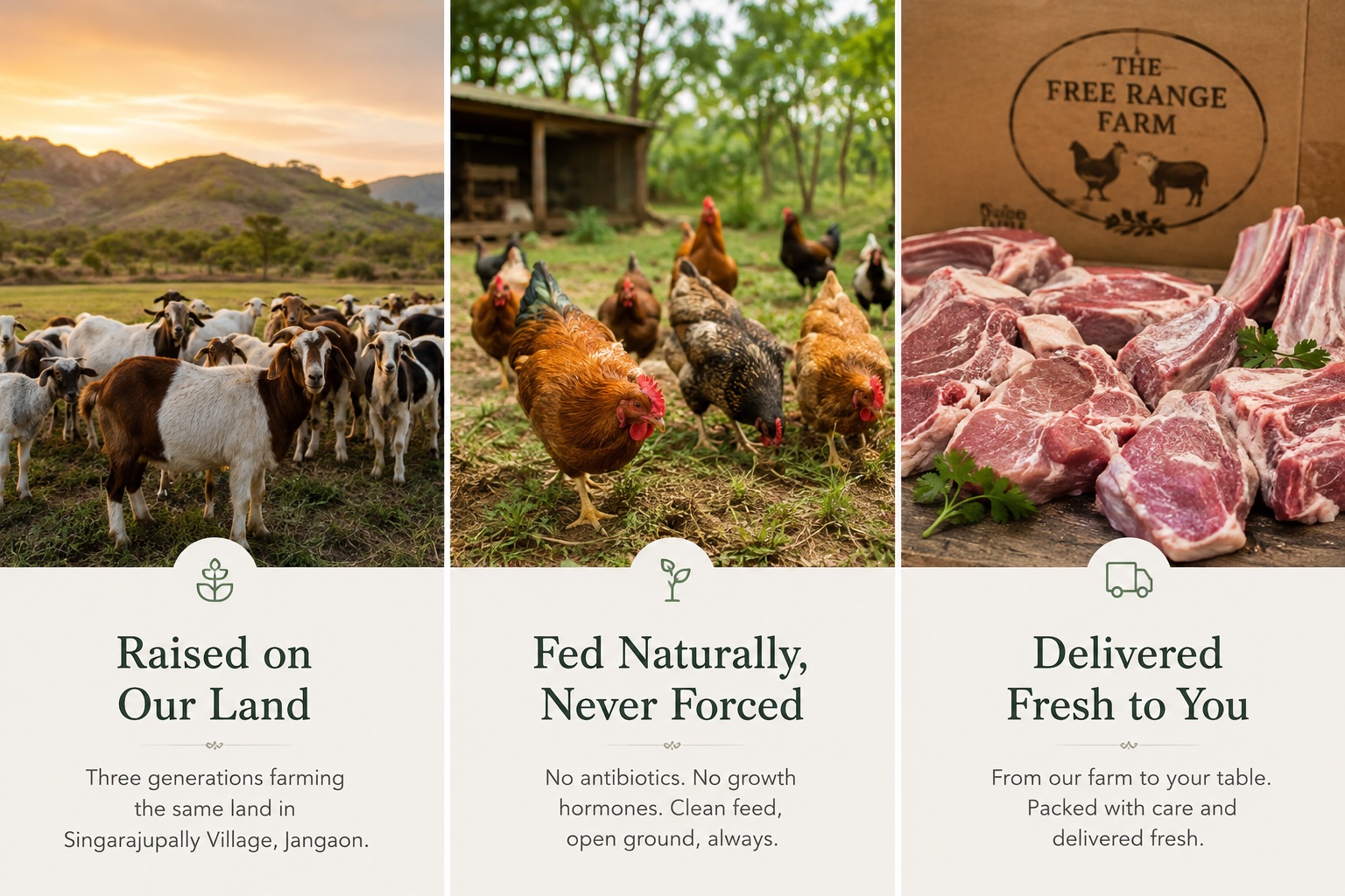 Raised on our land, fed naturally, delivered fresh to you